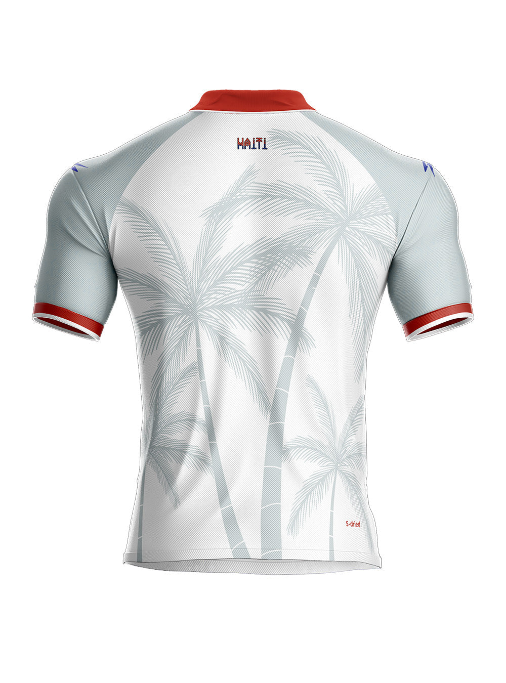 2026 Men's Authentic Haiti National Soccer Team Jersey White