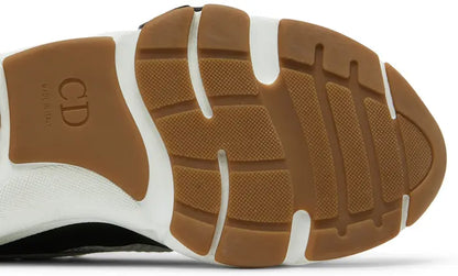 Dior B22 'White Black Gum'
